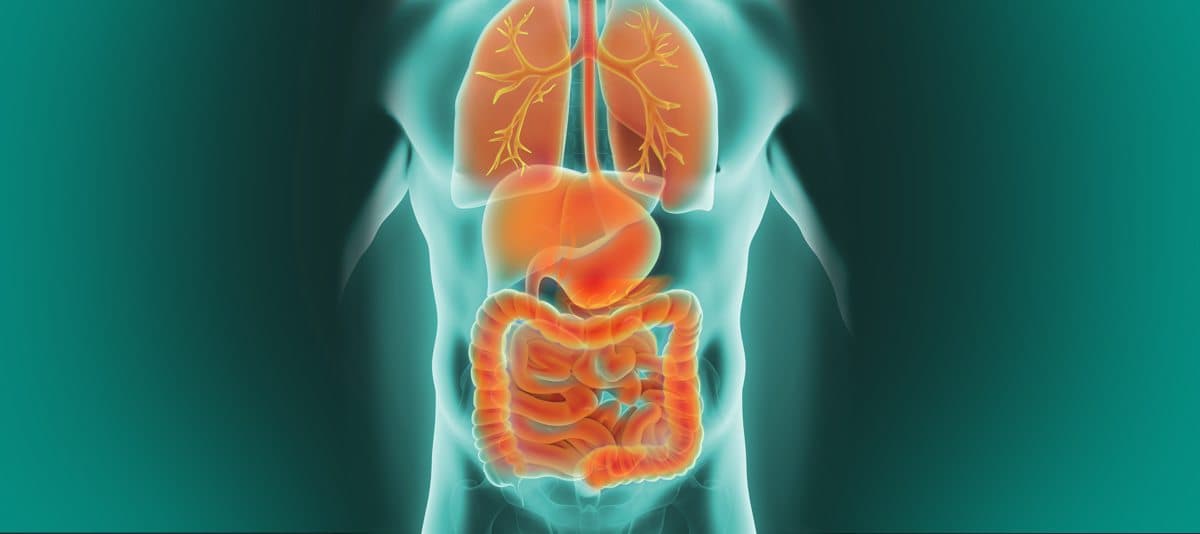 neuroendocrine-tumours